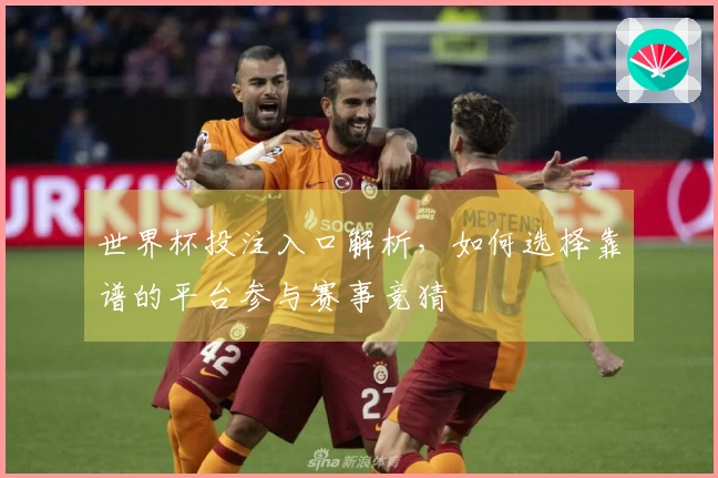 世界杯投注入口解析，如何选择靠谱的平台参与赛事竞猜