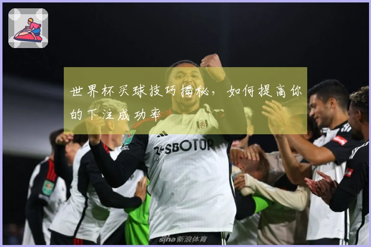 世界杯买球技巧揭秘，如何提高你的下注成功率
