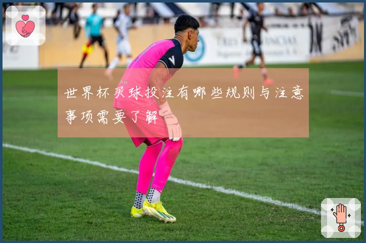 世界杯买球投注有哪些规则与注意事项需要了解