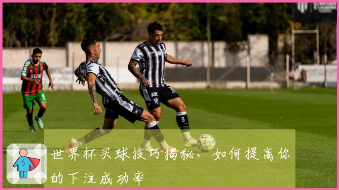 世界杯买球技巧揭秘，如何提高你的下注成功率