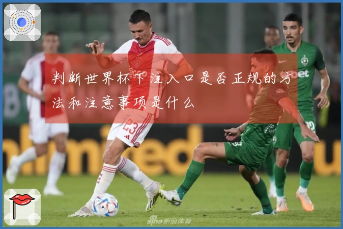 判断世界杯下注入口是否正规的方法和注意事项是什么