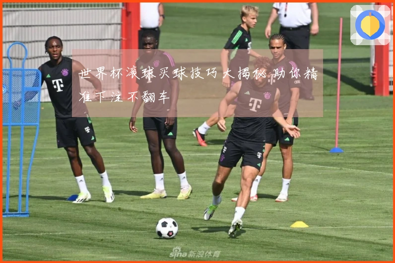 世界杯滚球买球技巧大揭秘 助你精准下注不翻车