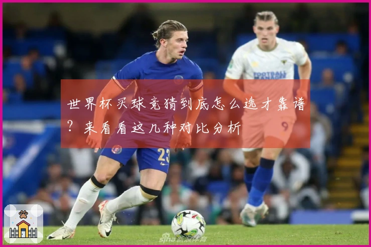 世界杯买球竞猜到底怎么选才靠谱？来看看这几种对比分析
