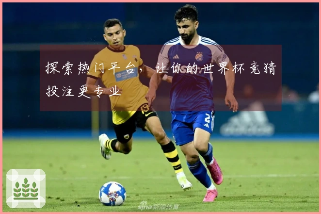 探索热门平台，让你的世界杯竞猜投注更专业
