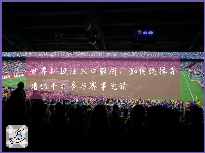 世界杯投注入口解析，如何选择靠谱的平台参与赛事竞猜